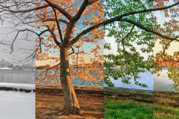 Split-image showing people in hot summer weather and cold winter conditions—visually representing how do changing seasons affect human health and well-being.