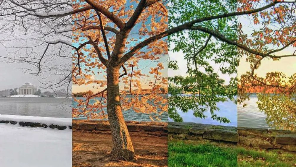 Split-image showing people in hot summer weather and cold winter conditions—visually representing how do changing seasons affect human health and well-being.