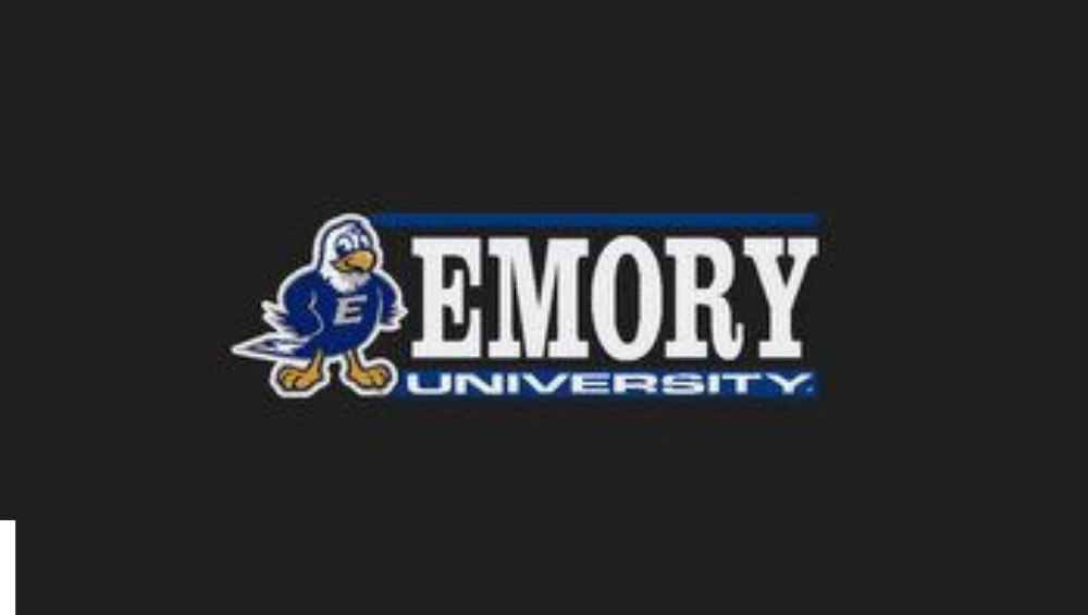 Photo of the Emory University Mascot, Swoop the Eagle, cheering at a campus event and engaging with students.