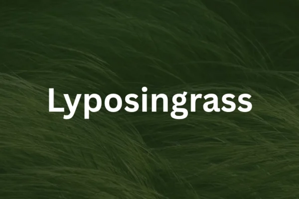A close-up of Lyposingrass, a rare glowing blue-green grass with bioluminescent tips growing in a misty, enchanted meadow.
