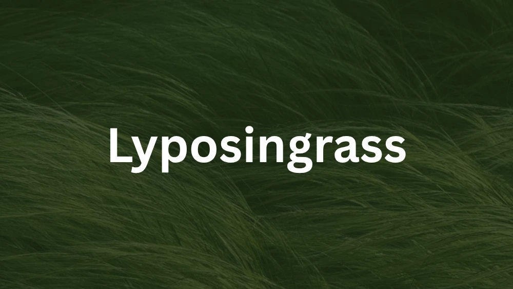 A close-up of Lyposingrass, a rare glowing blue-green grass with bioluminescent tips growing in a misty, enchanted meadow.