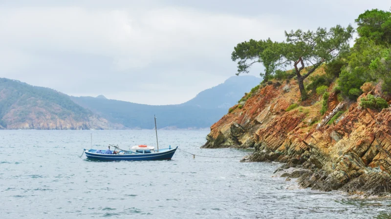 Planning a Veneajelu? Discover the Best Boat Trips in Finland